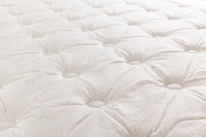 Charlotte plush euro clearance top mattress