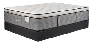 Sienna Immunity Pillowtop Mattress by Therapedic