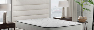 Farwell Plush Mattress By American Bedding