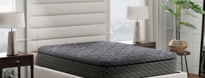 Marion Plush Euro Top By American Bedding